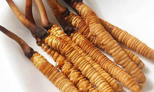 冬蟲(chóng)夏草的吃法，冬蟲(chóng)夏草的家常做法