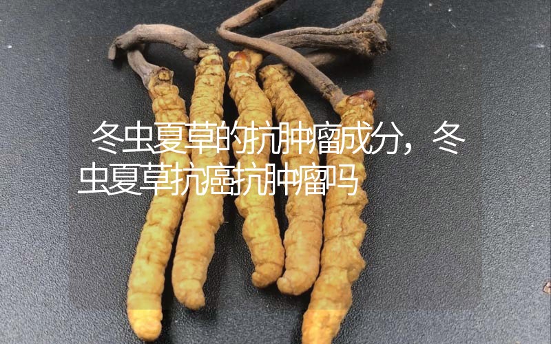 冬蟲夏草的抗腫瘤成分，冬蟲夏草抗癌抗腫瘤嗎？