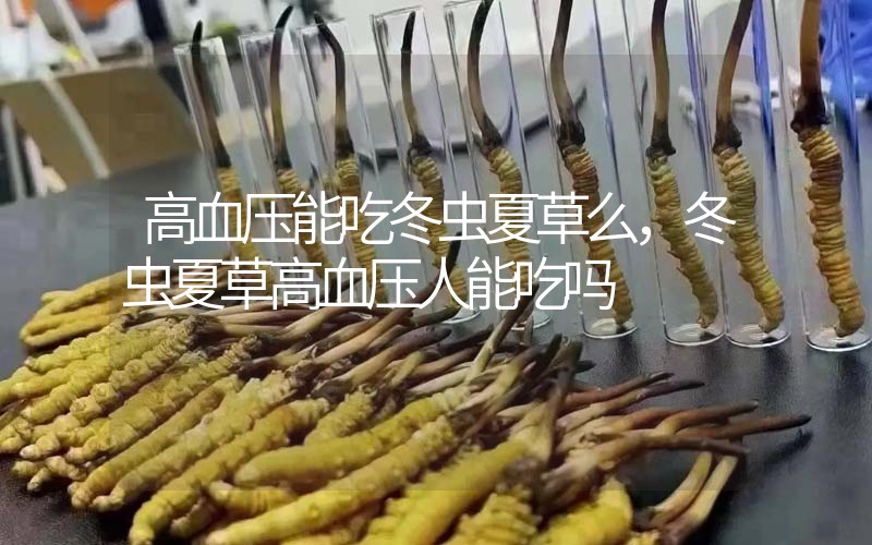 高血壓能吃冬蟲夏草么，冬蟲夏草高血壓人能吃嗎