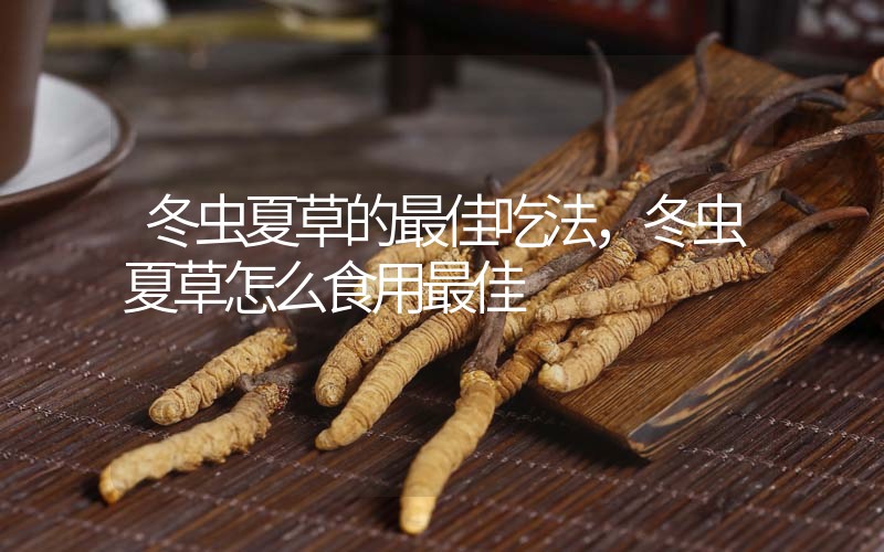 冬蟲夏草的最佳吃法，冬蟲夏草怎么食用最佳