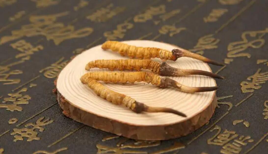 哪個產地的冬蟲夏草營養(yǎng)價值高