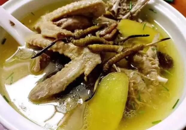 冬蟲夏草和哪些食材可以一起煲湯？