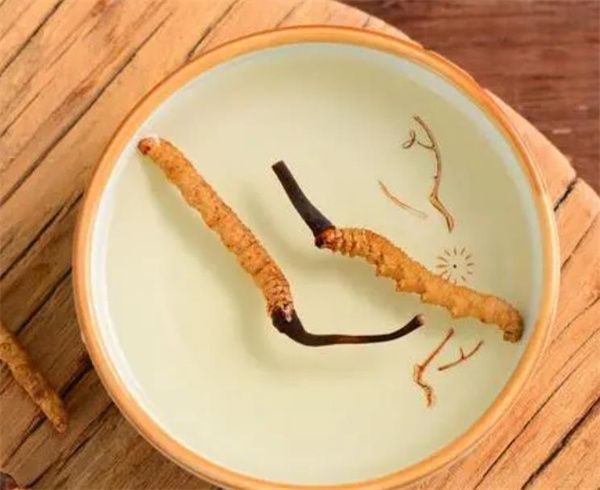 冬蟲(chóng)夏草可以泡水喝嗎？冬蟲(chóng)夏草泡水的步驟