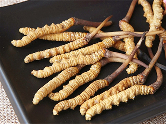 真的冬蟲夏草什么價(jià)格 2024年冬蟲夏草參考售價(jià)