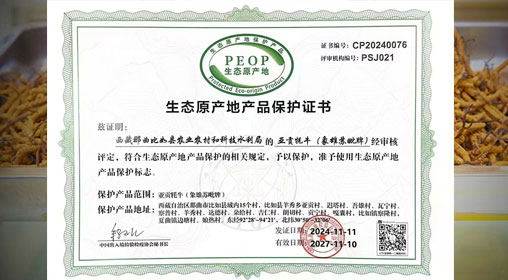 德耀娜秀 奮進(jìn)比如║熱烈祝賀！比如縣“亞貢牦?！比脒x農(nóng)業(yè)農(nóng)村部全國名特優(yōu)新農(nóng)產(chǎn)品名錄