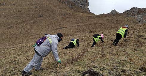 <a href=http://m.yangtenghuanbao.com/sdph/zf/ target=_blank class=infotextkey>珍峰冬蟲(chóng)夏草</a>:源自世界屋脊的養(yǎng)生瑰寶