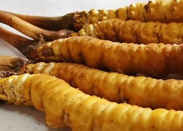 <a href=http://m.yangtenghuanbao.com/sdph/zf/ target=_blank class=infotextkey>珍峰冬蟲夏草</a>主要的銷售模式