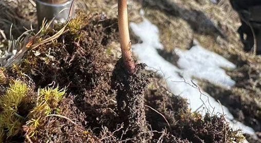 <a href=http://m.yangtenghuanbao.com/xinxian/ target=_blank class=infotextkey>新<a href=http://m.yangtenghuanbao.com/xinxian/ target=_blank class=infotextkey>鮮冬蟲夏草</a></a>存放