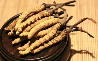 冬蟲夏草的價(jià)格一克：為何如此昂貴？