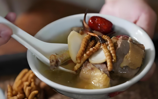 冬蟲夏草搭配有道，滋養(yǎng)肺部效果妙