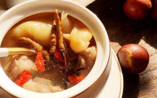 冬蟲夏草與什么泡水喝？養(yǎng)生搭配指南