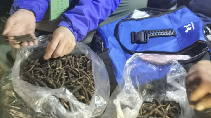 <a href=http://m.yangtenghuanbao.com/xinxian/ target=_blank class=infotextkey>新<a href=http://m.yangtenghuanbao.com/xinxian/ target=_blank class=infotextkey>鮮冬蟲夏草</a></a>的正確食用指南