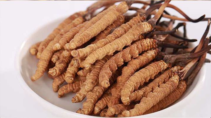 野生鮮<a href=http://m.yangtenghuanbao.com/s/nqcc/ target=_blank class=infotextkey>那曲冬蟲(chóng)夏草</a>：雪域高原的時(shí)令滋補(bǔ)珍品