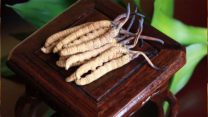 怎樣鑒別<a href=http://m.yangtenghuanbao.com/tag/6.html target=_blank class=infotextkey>冬蟲夏草的產(chǎn)地</a>