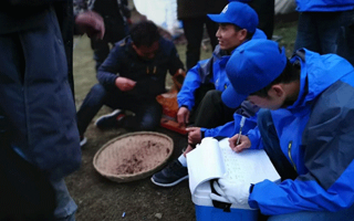 冬蟲夏草的一克究竟有多少根？揭秘珍稀中的奧秘