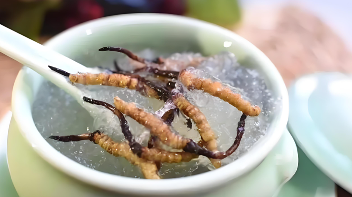 什么時(shí)候吃冬蟲夏草好