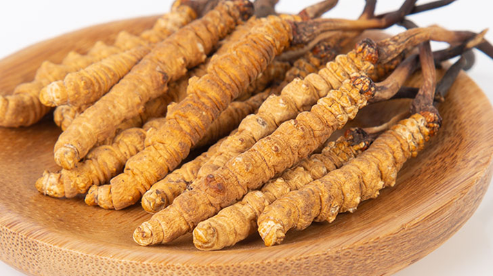 在西藏，冬蟲夏草真的觸手可得？