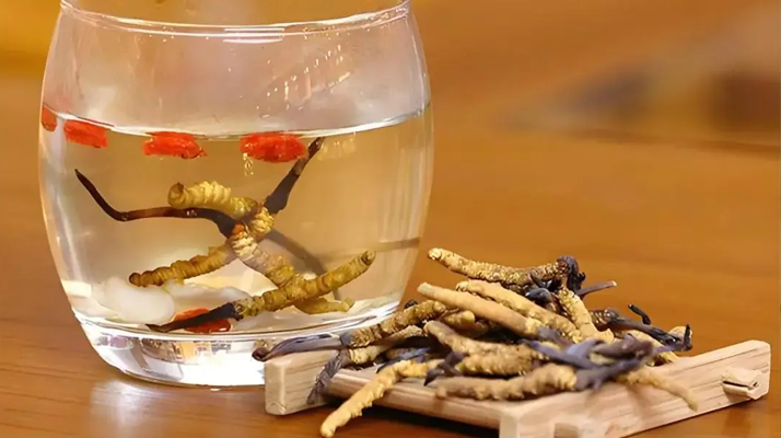 冬蟲夏草與枸杞能一起泡酒嗎？科學搭配與飲用指南