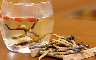 冬蟲夏草與枸杞能一起泡酒嗎？科學搭配與飲用指南