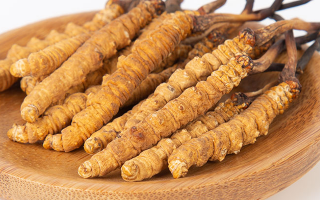 冬蟲夏草，真有那么大效果？