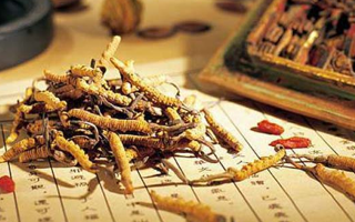 青海冬蟲(chóng)夏草：為何能成為蟲(chóng)草中的佳品