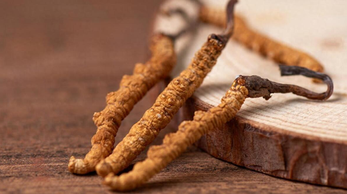 純野生<a href=http://m.yangtenghuanbao.com/jiage/ target=_blank class=infotextkey>冬蟲夏草價(jià)格</a>剖析:多因素交織下的價(jià)值體現(xiàn)