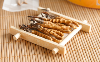 冬蟲(chóng)夏草可以干燥存放嗎？科學(xué)儲(chǔ)存方法與注意事項(xiàng)
