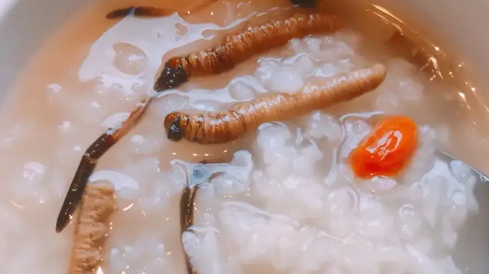 冬蟲夏草適合哪些人群？精準(zhǔn)匹配與禁忌提醒