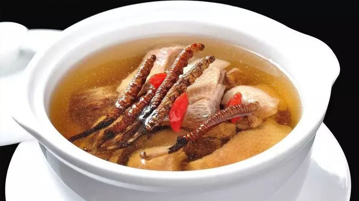 冬蟲夏草怎樣燉是最好的？掌握這幾步，營養(yǎng)不流失還美味