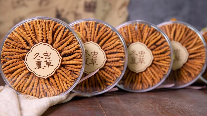 把握黃金時段！冬蟲夏草在這些時候吃效果更佳