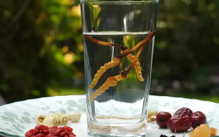 冬蟲夏草能空腹泡水喝嗎？不同人群需區(qū)別對(duì)待