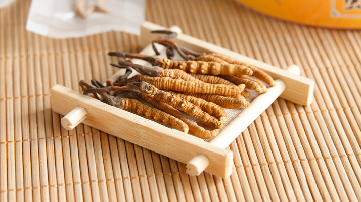 2025 年 9 月冬蟲夏草行情：價格微幅波動，優(yōu)質(zhì)貨成硬通貨