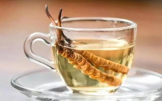 十根冬蟲夏草泡多少酒？科學(xué)配比與實(shí)操指南