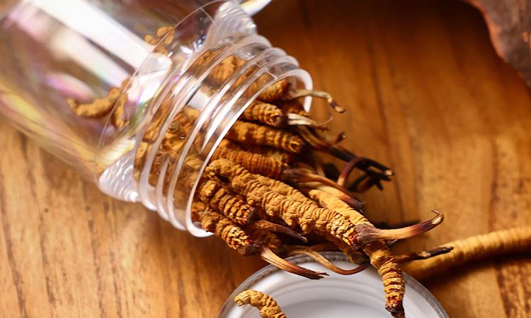 <a href=http://m.yangtenghuanbao.com/jiage/ target=_blank class=infotextkey>冬蟲夏草多少錢</a>一條 