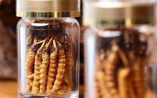 送冬蟲夏草給男孩子好嗎？分場景分析 + 送禮建議