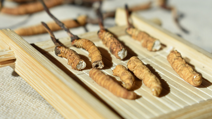 斷的<a href=http://m.yangtenghuanbao.com/ target=_blank class=infotextkey>冬蟲夏草</a>一克啥價(jià)