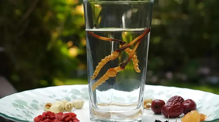 人參配蟲草泡酒，泡多久才好喝 