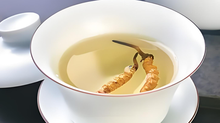 鮮冬蟲夏草可以煮水喝嗎？有什么功效和作用？