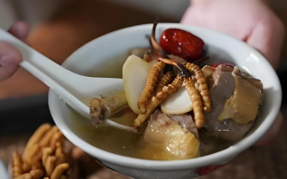  冬蟲夏草和什么食材搭配煲湯比較好？