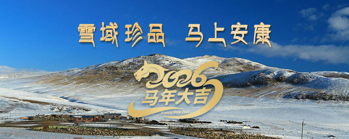 雪域高原藏珍品，2026愿您馬上安康——來自西藏那曲蟲草網(wǎng)的新春祝福