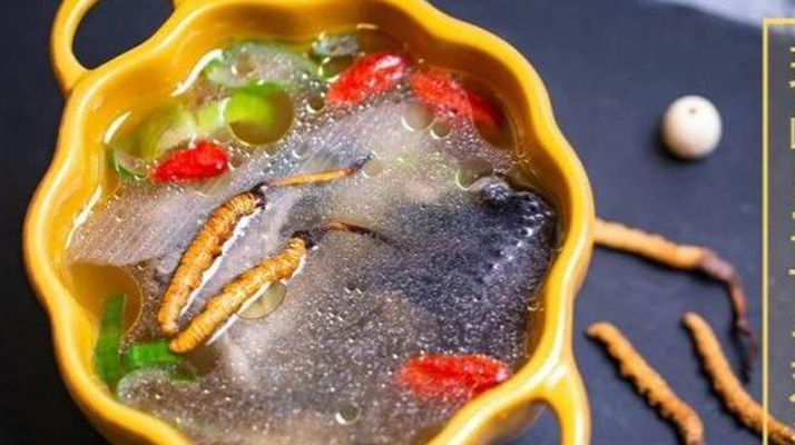 冬蟲夏草保存期多久