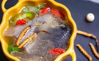 那曲冬蟲夏草辨別全指南｜教你避開市場陷阱，認準正宗珍品