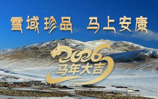 雪域高原藏珍品，2026愿您馬上安康——來自西藏那曲蟲草網(wǎng)的新春祝福