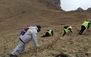 深耕那曲雪域，甄選正宗好草——2026那曲冬蟲(chóng)夏草優(yōu)質(zhì)品牌盤點(diǎn)